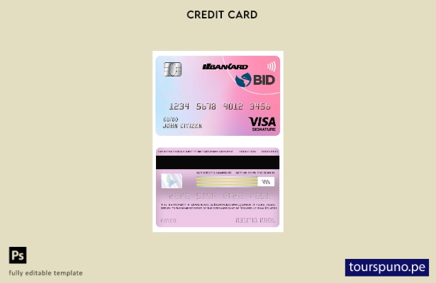 listo para imprimir plantilla de tarjeta de firma de visa bancaria del Banco Int